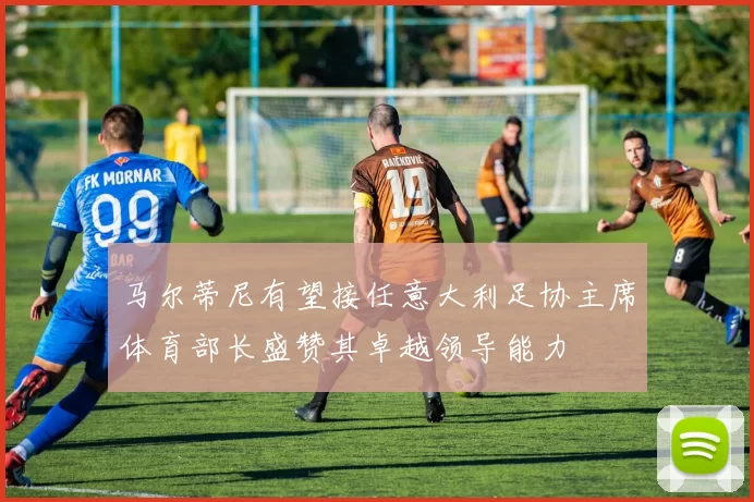 马尔蒂尼有望接任意大利足协主席体育部长盛赞其卓越领导能力