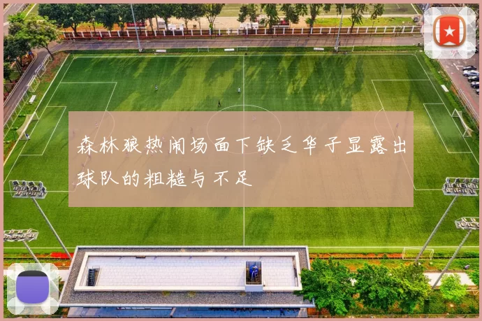 森林狼热闹场面下缺乏华子显露出球队的粗糙与不足